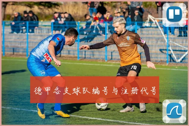 德甲各支球队编号与注册代号