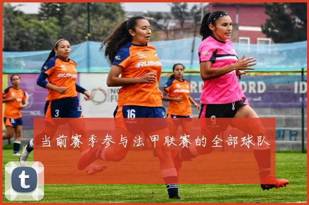 当前赛季参与法甲联赛的全部球队