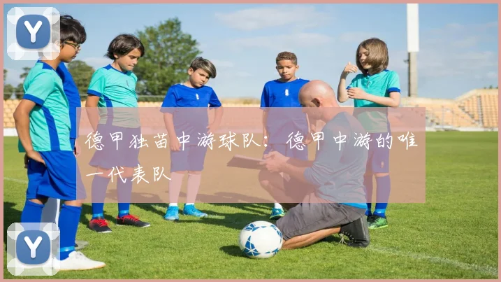 德甲独苗中游球队:德甲中游的唯一代表队