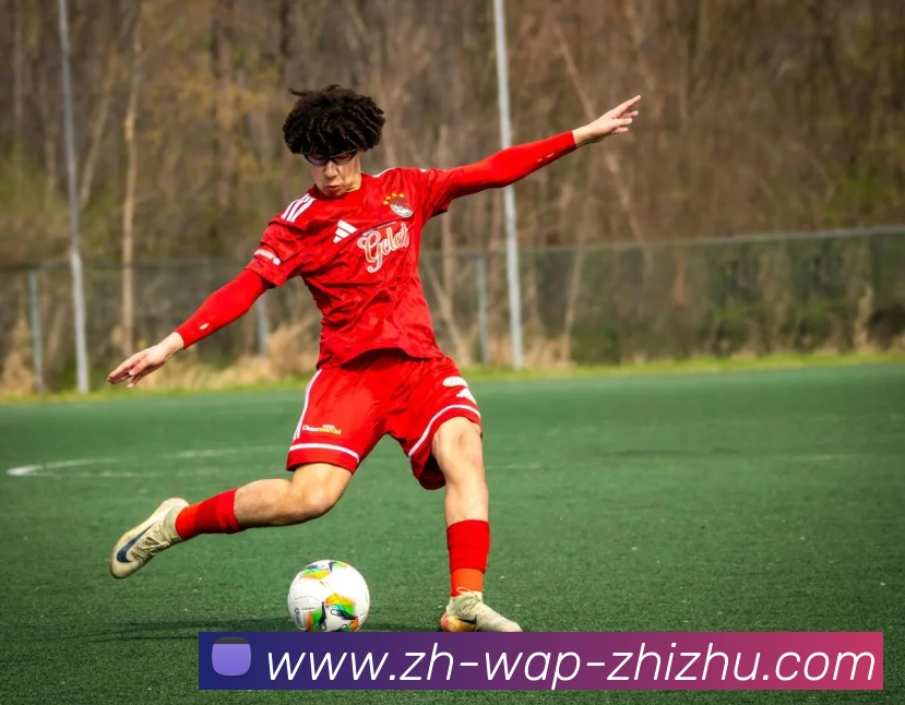 蜘蛛直播发展历程